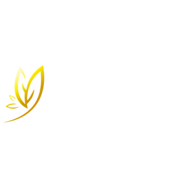 Kay Vita